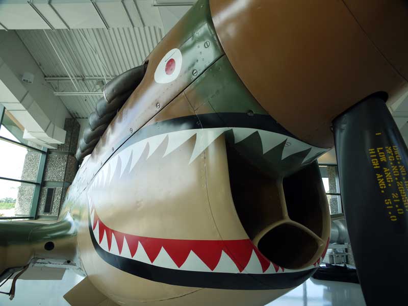 Curtis P-40 Warhawk in Flying Tigers colors.