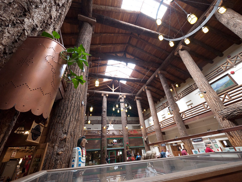 The lobby of the lodge with its big Douglas Fir columns.