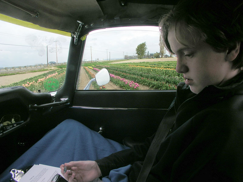 and a small patch of tulips near La Conner. Look how serious my Navigator is concentrating on his task!